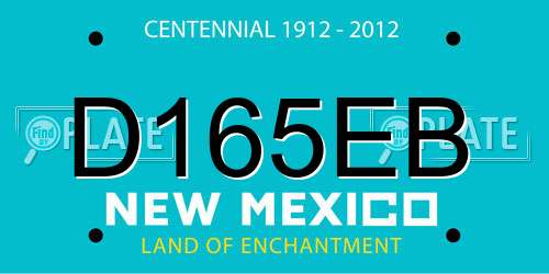 D165EB New Mexico License Plate