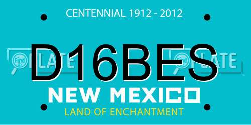 D16BES New Mexico License Plate