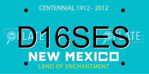 D16SES New Mexico License Plate
