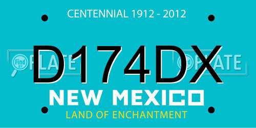 D174DX New Mexico License Plate