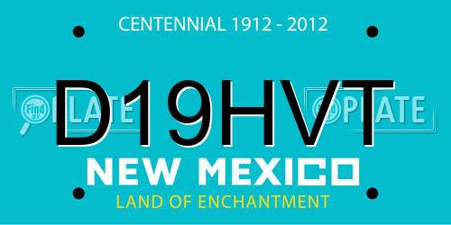 D19HVT New Mexico License Plate