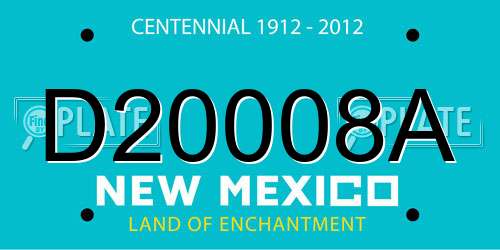D20008A New Mexico License Plate