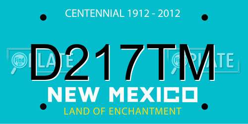 D217TM New Mexico License Plate