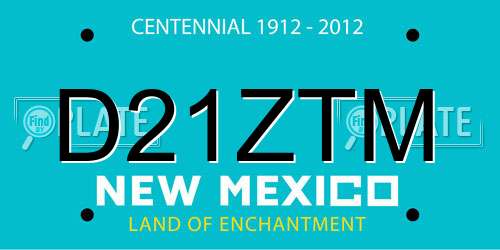 D21ZTM New Mexico License Plate