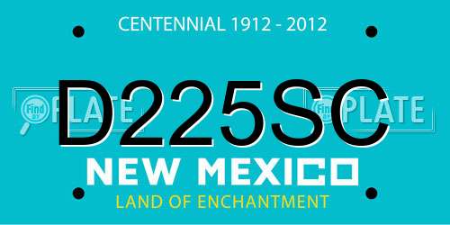D225SC New Mexico License Plate