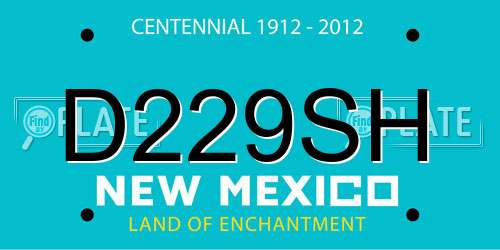 D229SH New Mexico License Plate