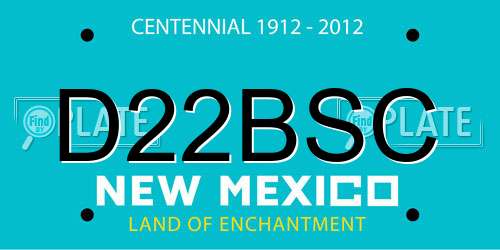 D22BSC New Mexico License Plate