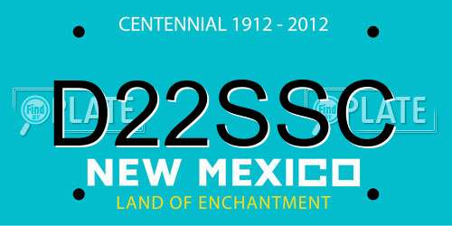 D22SSC New Mexico License Plate