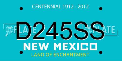 D245SS New Mexico License Plate