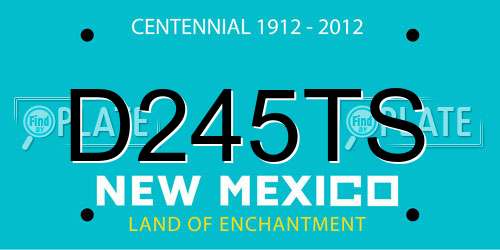 D245TS New Mexico License Plate