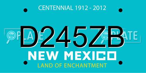 D245ZB New Mexico License Plate
