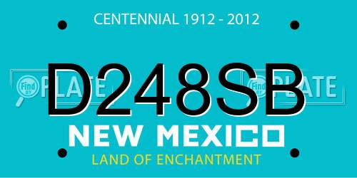 D248SB New Mexico License Plate