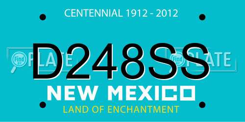 D248SS New Mexico License Plate
