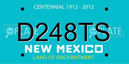 D248TS New Mexico License Plate