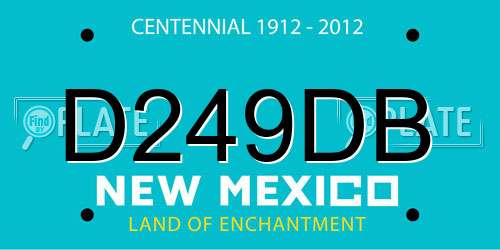 D249DB New Mexico License Plate