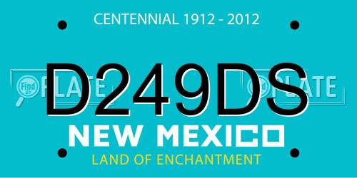 D249DS New Mexico License Plate