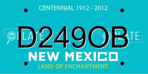 D249OB New Mexico License Plate