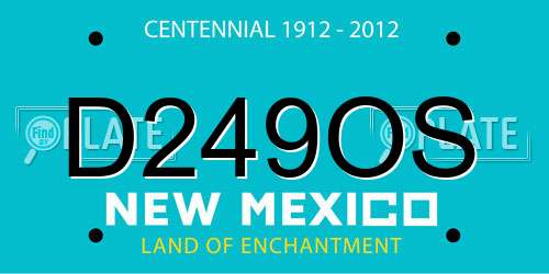 D249OS New Mexico License Plate