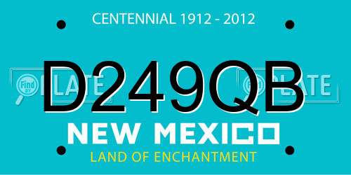 D249QB New Mexico License Plate