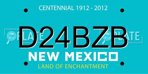 D24BZB New Mexico License Plate