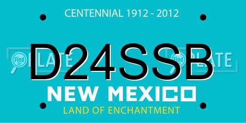 D24SSB New Mexico License Plate