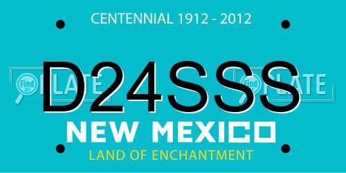 D24SSS New Mexico License Plate