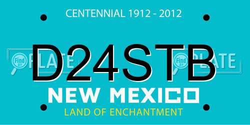 D24STB New Mexico License Plate