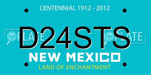 D24STS New Mexico License Plate
