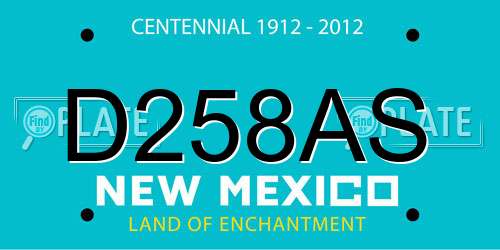 D258AS New Mexico License Plate