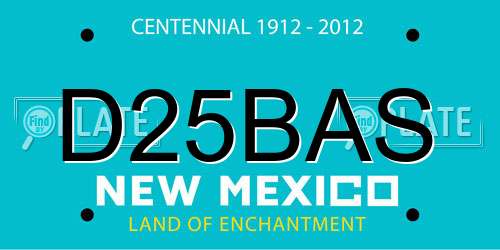 D25BAS New Mexico License Plate