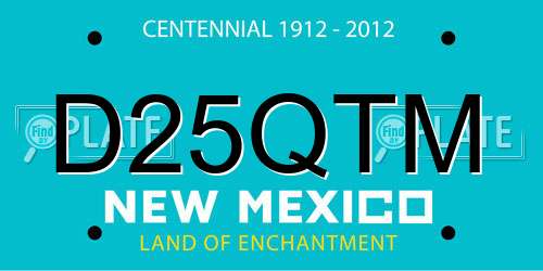 D25QTM New Mexico License Plate