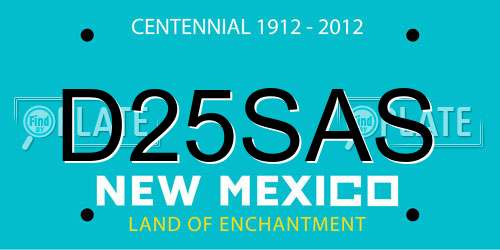 D25SAS New Mexico License Plate