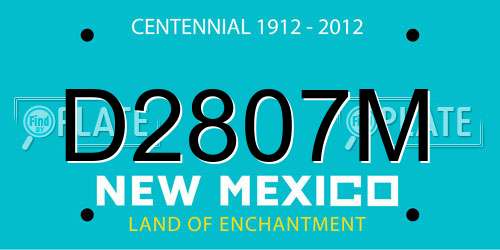 D2807M New Mexico License Plate