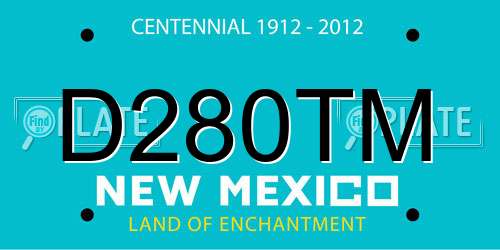 D280TM New Mexico License Plate