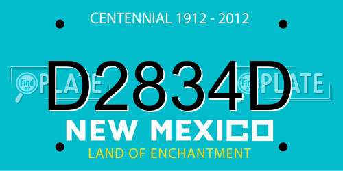 D2834D New Mexico License Plate