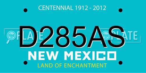 D285AS New Mexico License Plate