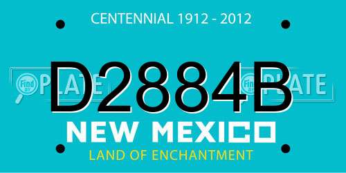 D2884B New Mexico License Plate