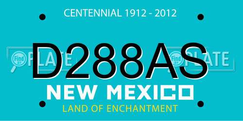D288AS New Mexico License Plate