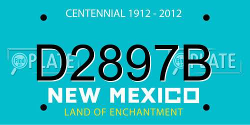 D2897B New Mexico License Plate