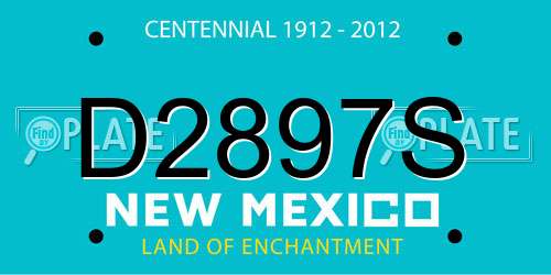 D2897S New Mexico License Plate