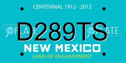 D289TS New Mexico License Plate
