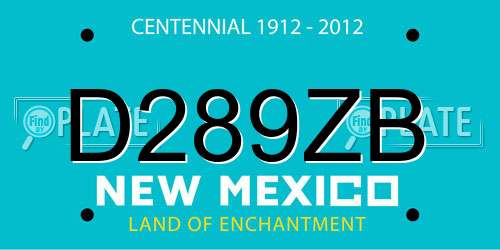 D289ZB New Mexico License Plate