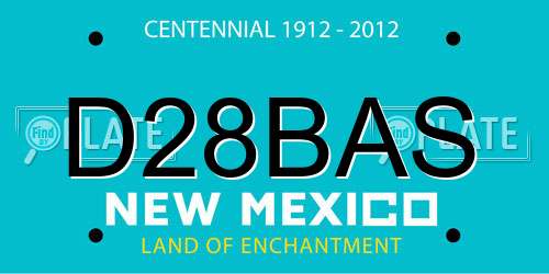 D28BAS New Mexico License Plate