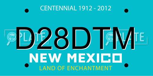 D28DTM New Mexico License Plate