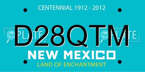 D28QTM New Mexico License Plate