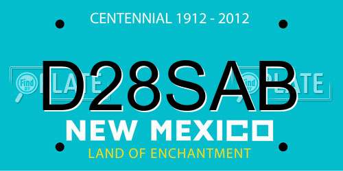 D28SAB New Mexico License Plate