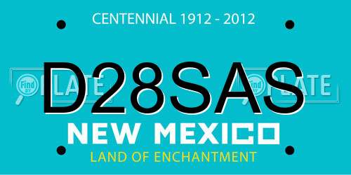 D28SAS New Mexico License Plate