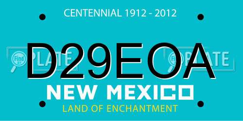 D29EOA New Mexico License Plate