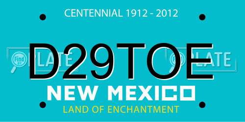 D29TOE New Mexico License Plate