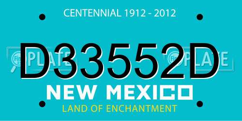 D33552D New Mexico License Plate